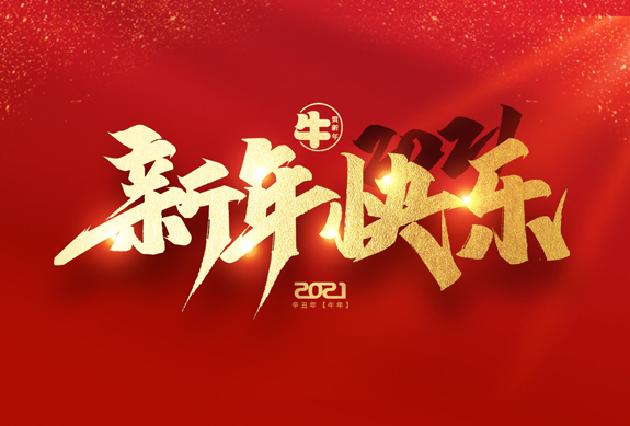 麗水市威儀自動(dòng)化技術(shù)有限公司祝全國(guó)人民2021年新年快樂！